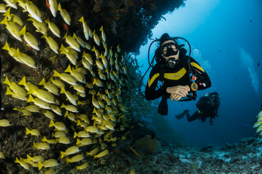 Tour Lặn Biển Chuyên Nghiệp Hòn Mun: Scuba Diving & Snorkeling